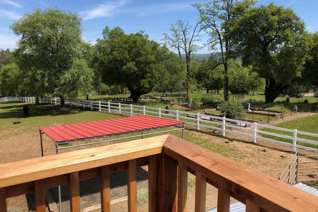 Amazing Loft On Horse Ranch Διαμέρισμα Pilot Hill Εξωτερικό φωτογραφία