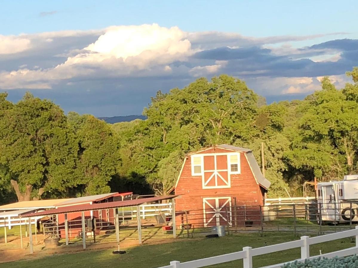 Amazing Loft On Horse Ranch Διαμέρισμα Pilot Hill Εξωτερικό φωτογραφία