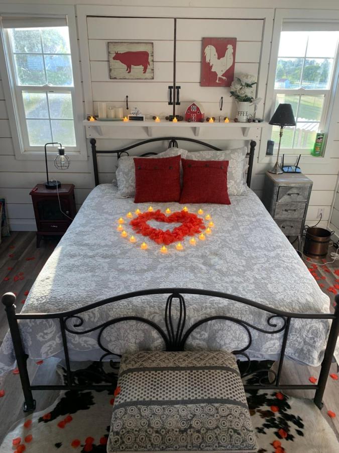 Amazing Loft On Horse Ranch Διαμέρισμα Pilot Hill Εξωτερικό φωτογραφία