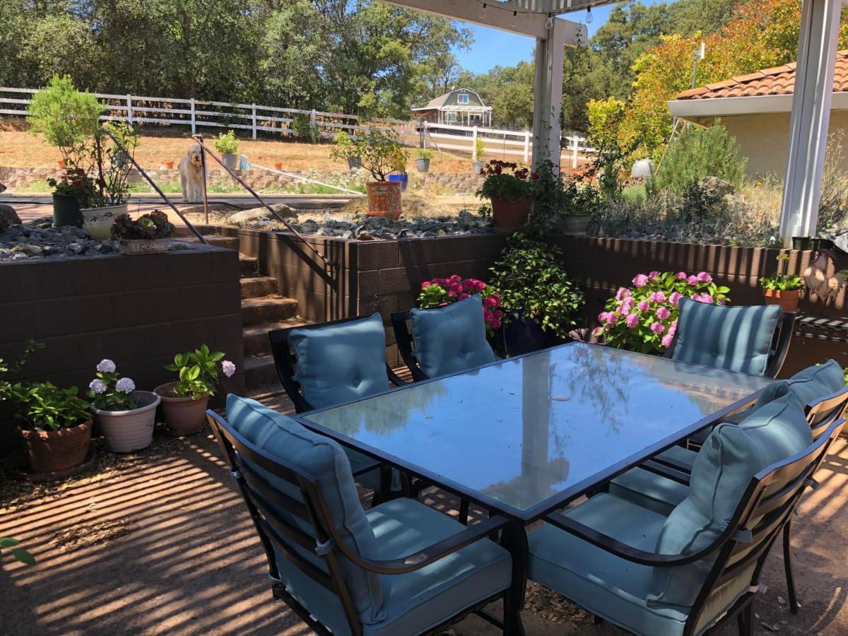 Amazing Loft On Horse Ranch Διαμέρισμα Pilot Hill Εξωτερικό φωτογραφία